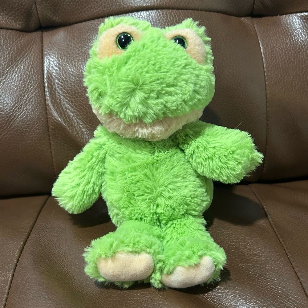 Ty Floyd Frog Plush 10” Green Stuffed Animal Soft Cuddly Toy Previously Loved